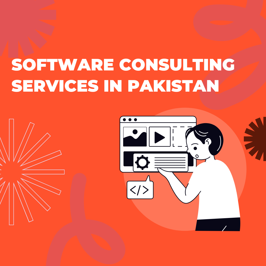 Software Consulting